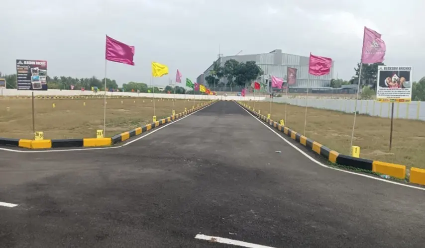 Blossoms_Pearl_City_2