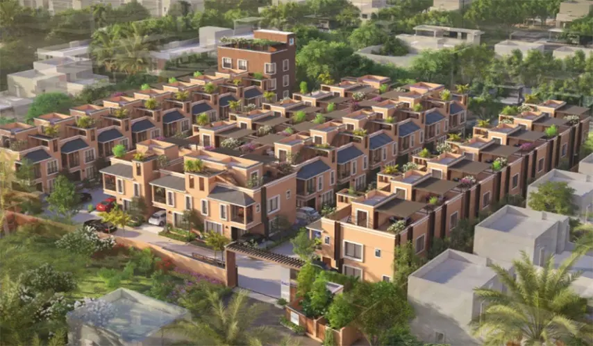 DAC_House_of_Palisade_11