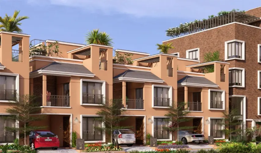 DAC_House_of_Palisade_4