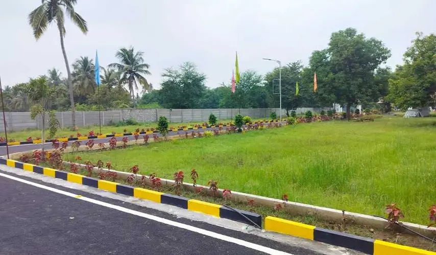 GTK_Shobha_Blossoms_2