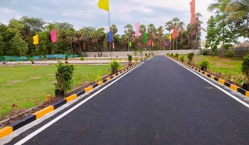 GTK_Shobha_Blossoms_4