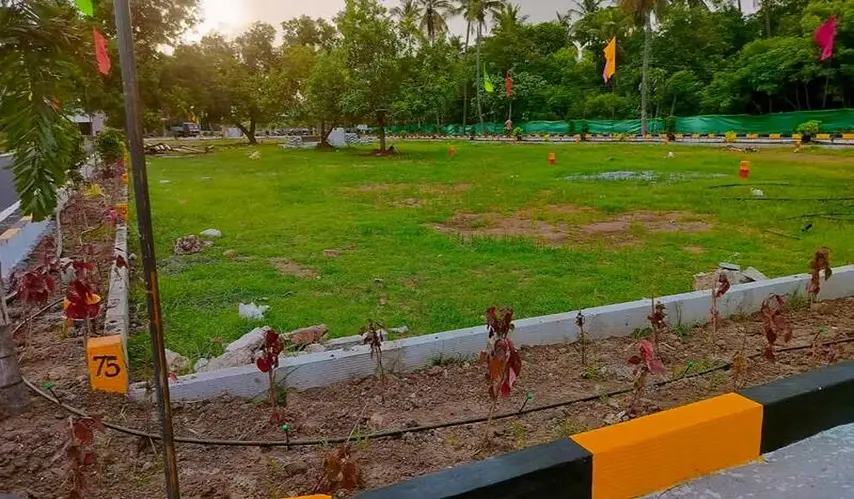 GTK_Shobha_Blossoms_7