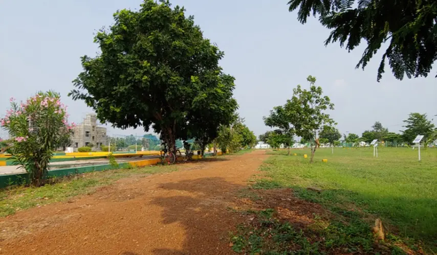 RC_Blooming_Garden_2