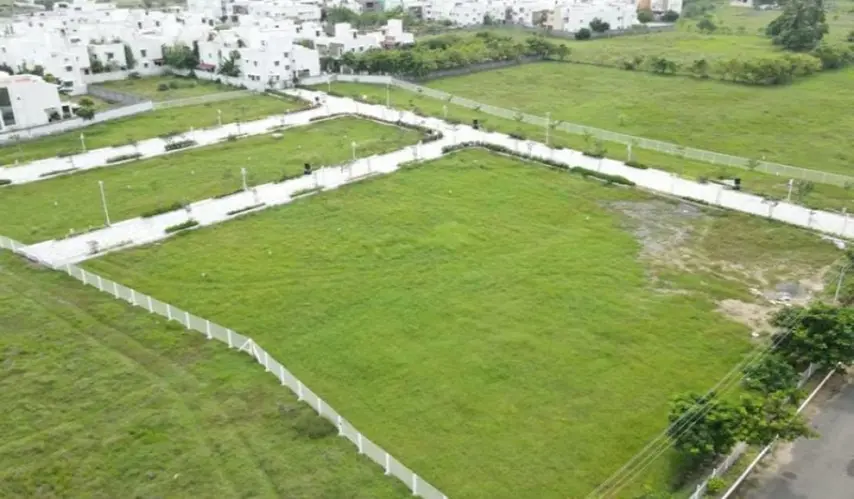 Stone_and_Acres_Flora_2