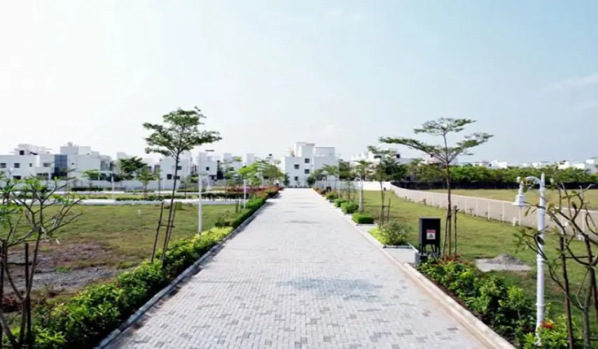 Stone_and_Acres_Flora_3