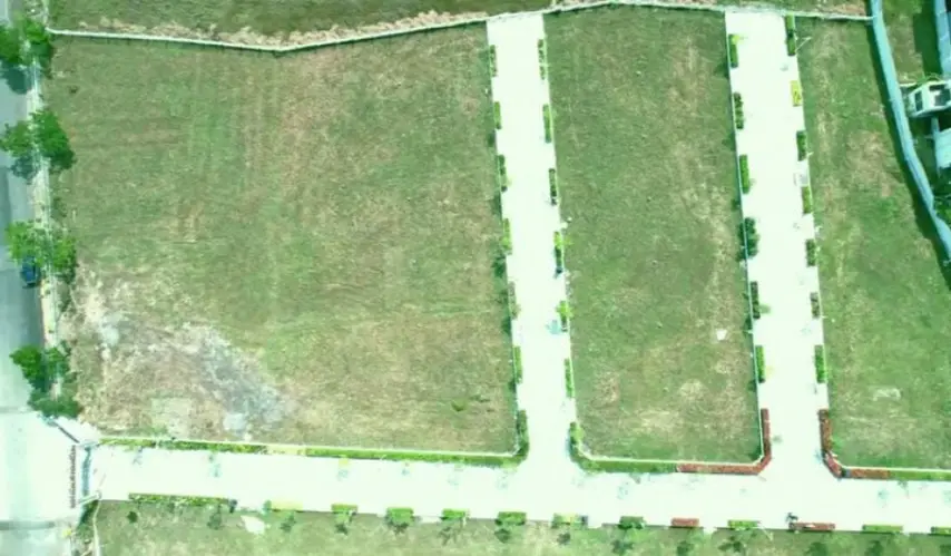 Stone_and_Acres_Flora_4