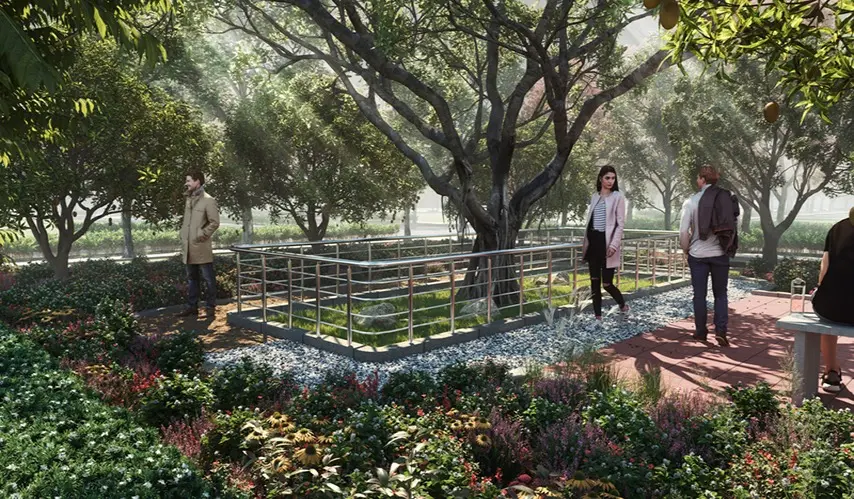 TVS_Emerald_Lake_Shore_10