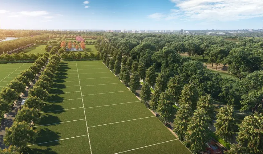 TVS_Emerald_Lake_Shore_2