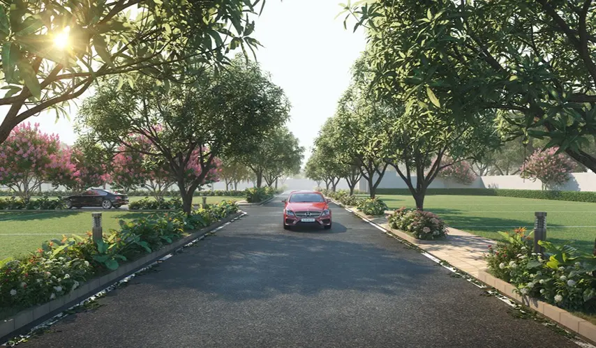 TVS_Emerald_Lake_Shore_4