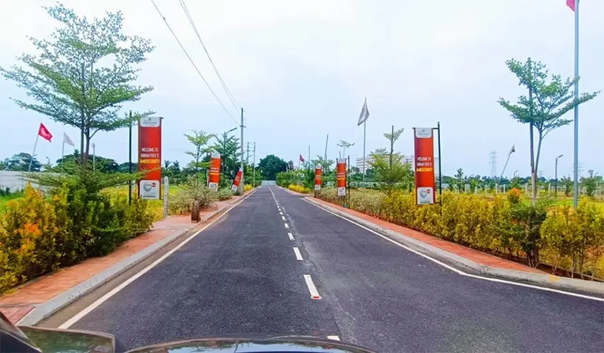 Urban_Tree_Amber_County_3