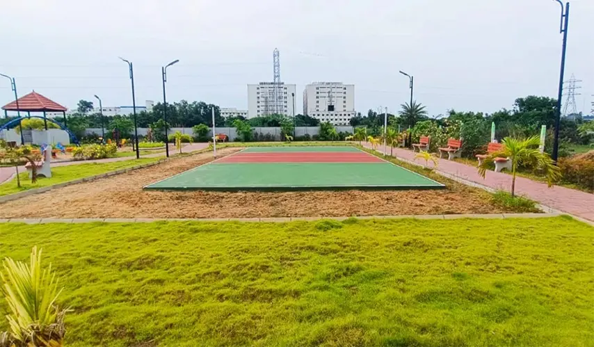 Urban_Tree_Amber_County_4