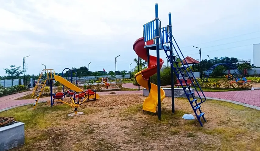 Urban_Tree_Amber_County_5