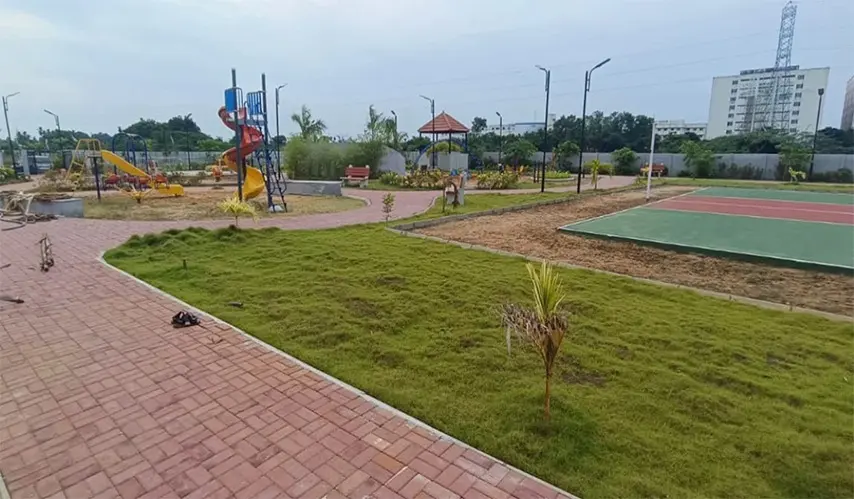 Urban_Tree_Amber_County_7