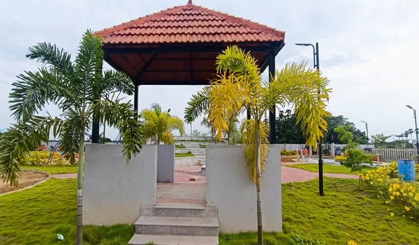 Urban_Tree_Amber_County_8