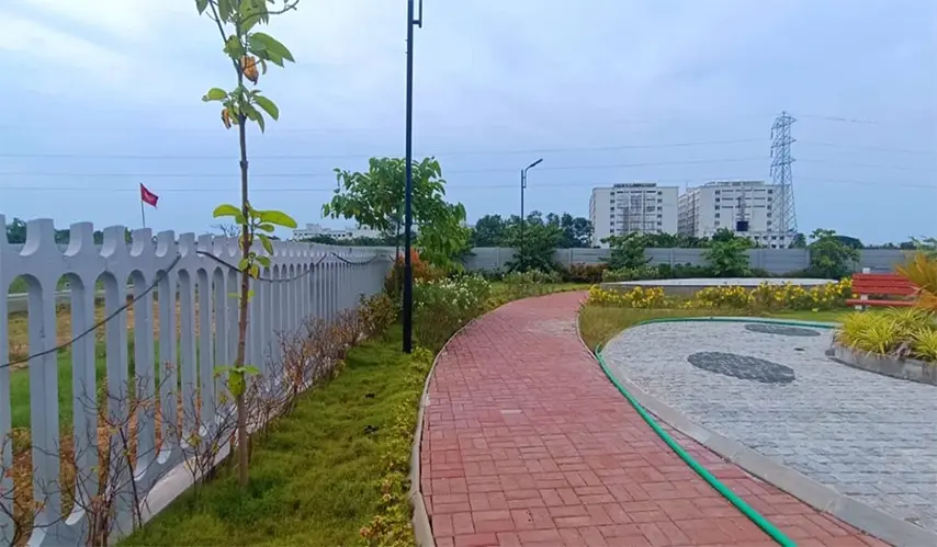 Urban_Tree_Amber_County_9