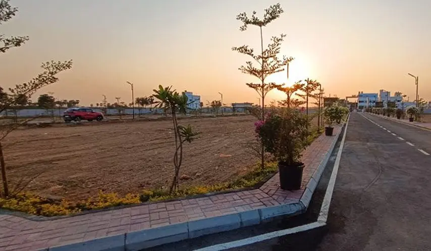 Urban_Tree_Crystal_Crown_10