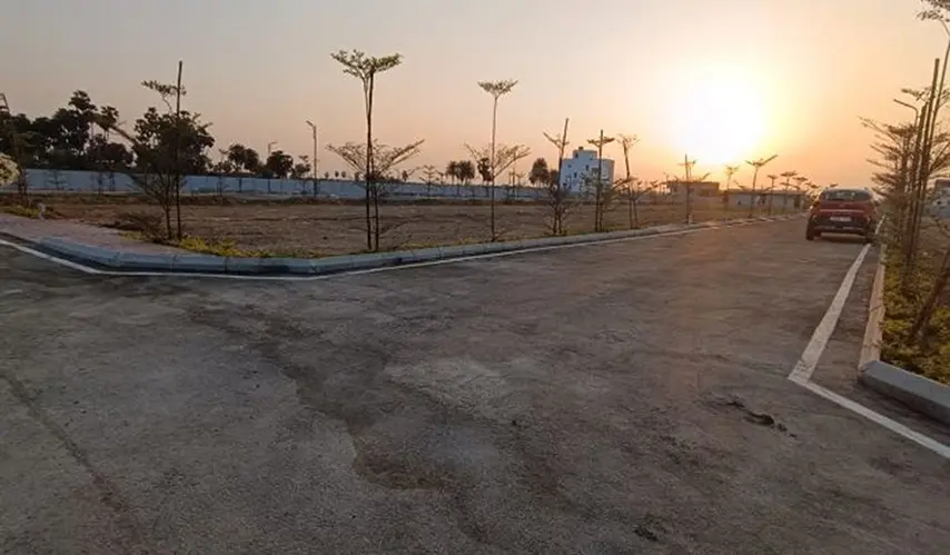 Urban_Tree_Crystal_Crown_7