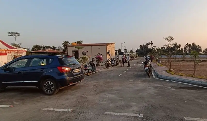 Urban_Tree_Crystal_Crown_8