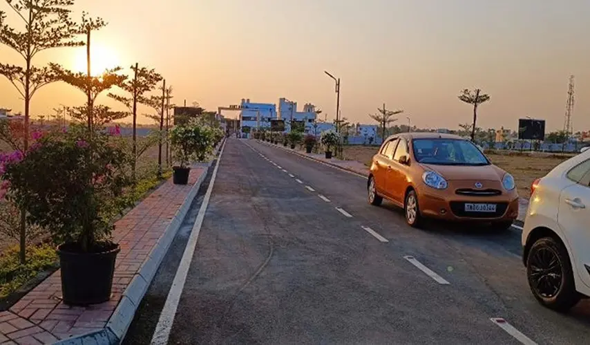 Urban_Tree_Crystal_Crown_9