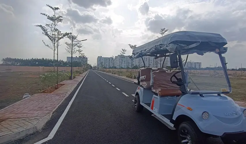 Urban_Tree_Diamond_Kingdom_3