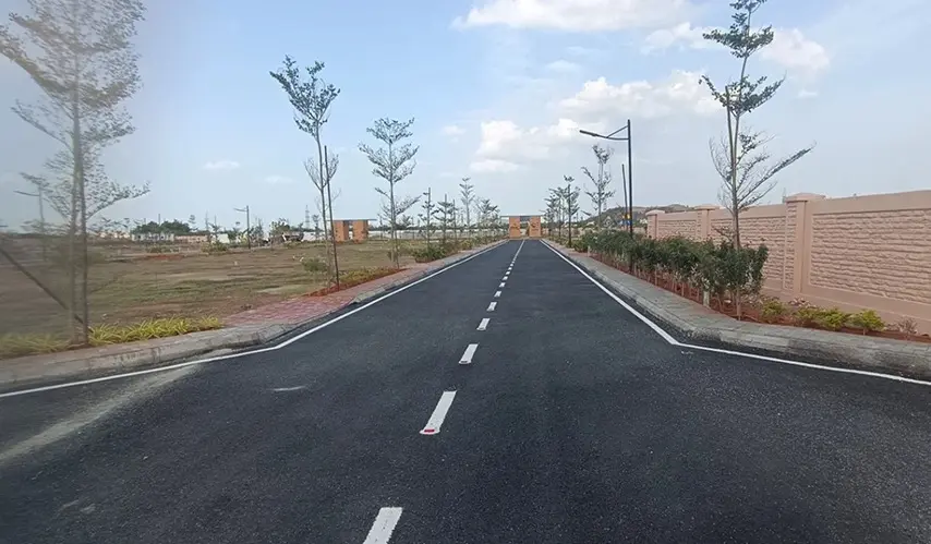 Urban_Tree_Diamond_Kingdom_4