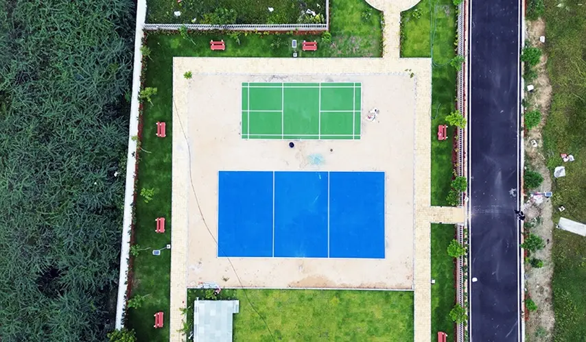 Urban_Tree_Jade_Jubilance_10