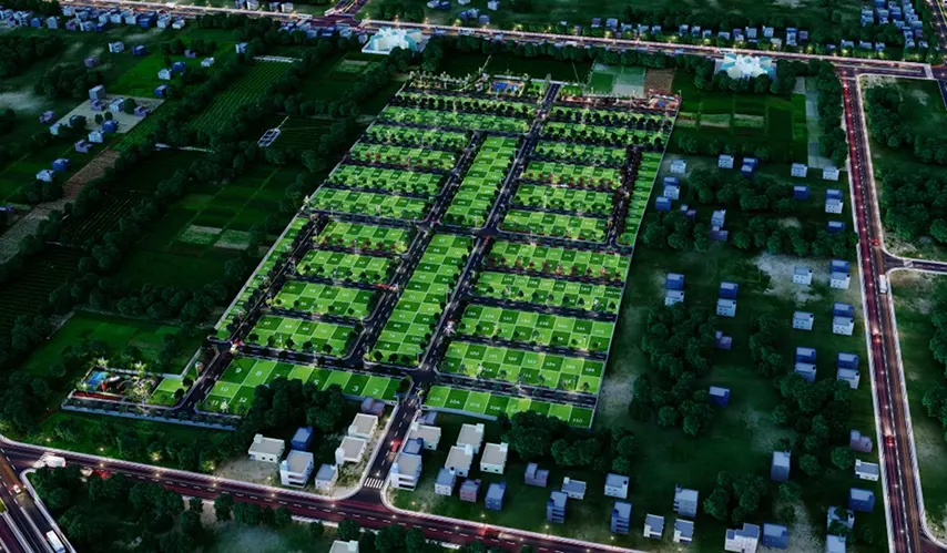 Urban_Tree_Jade_Jubilance_2