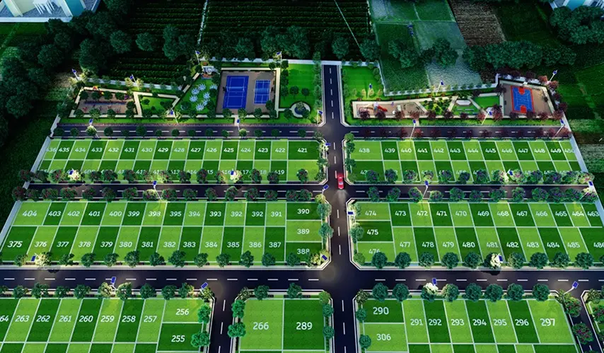 Urban_Tree_Jade_Jubilance_4