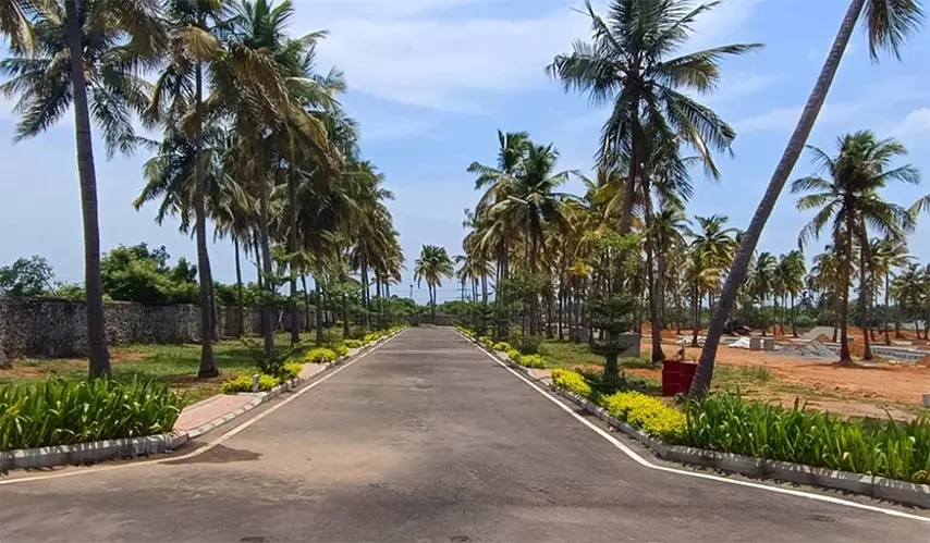 Urban_Tree_Sapphire_Gardens_6