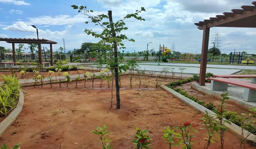 Urban_Tree_Sunstone_Gardens_10