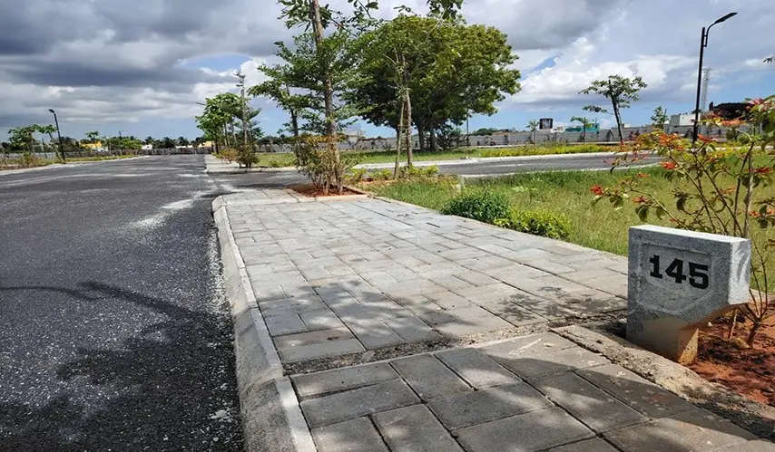 Urban_Tree_Sunstone_Gardens_2