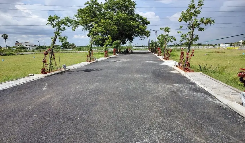 Urban_Tree_Sunstone_Gardens_3