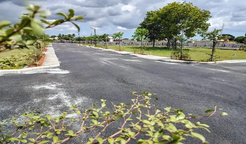 Urban_Tree_Sunstone_Gardens_6