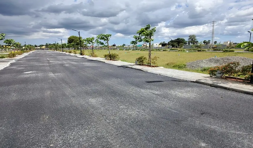 Urban_Tree_Sunstone_Gardens_7