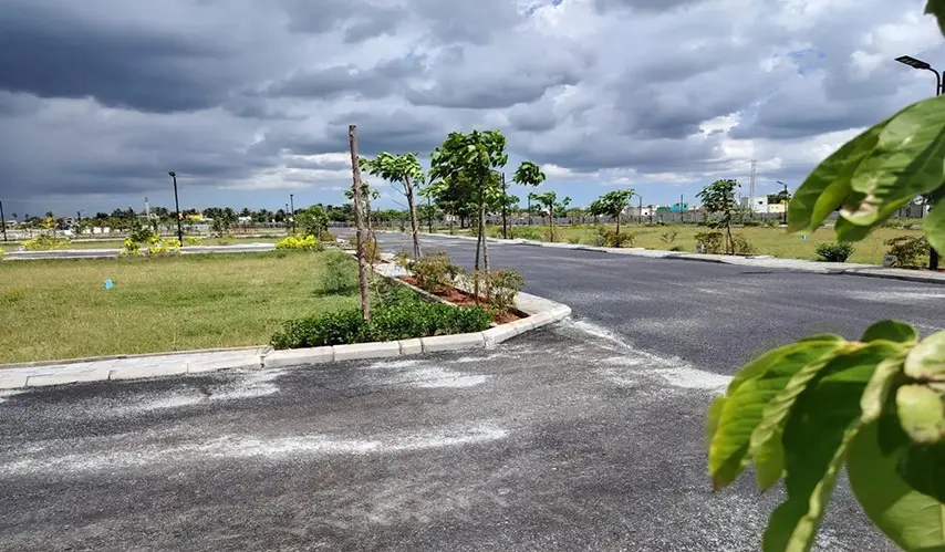 Urban_Tree_Sunstone_Gardens_8