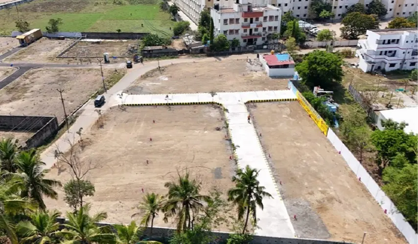 Vamanan_Pink_Avenue_3