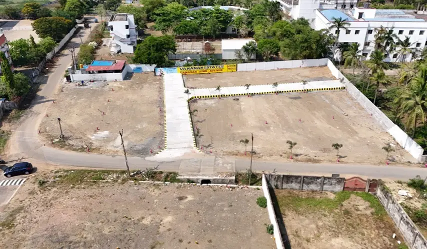 Vamanan_Pink_Avenue_6