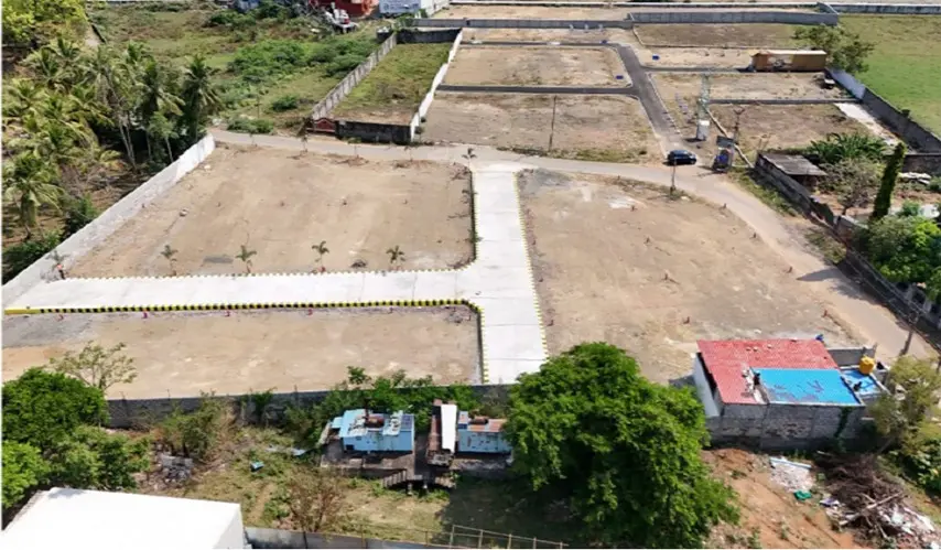 Vamanan_Pink_Avenue_8