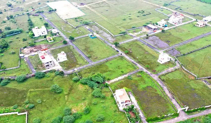 Jones_Glory_Garden_1